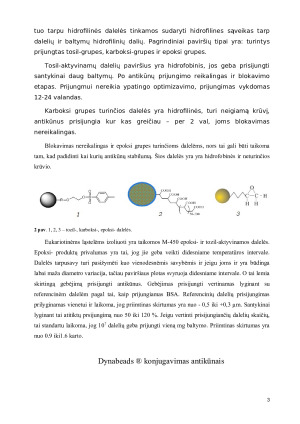Dynabeads ®  savybės ir taikymas. Paveikslėlis 3