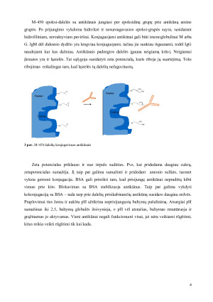 Dynabeads ®  savybės ir taikymas. Paveikslėlis 4