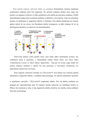 Dynabeads ®  savybės ir taikymas. Paveikslėlis 8