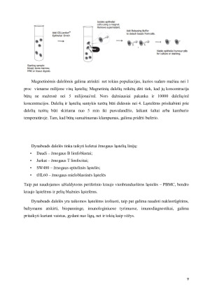 Dynabeads ®  savybės ir taikymas. Paveikslėlis 9