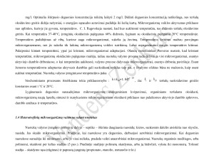 AEROBINIAI IR ANAEROBINIAI PROCESAI BESIVYSTANTYS NUOTEKOSE. Paveikslėlis 8