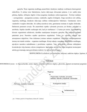 AEROBINIAI IR ANAEROBINIAI PROCESAI BESIVYSTANTYS NUOTEKOSE. Paveikslėlis 9