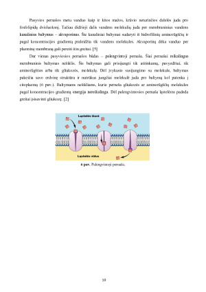 LĄSTELINIS TRANSPORTAS. Paveikslėlis 10
