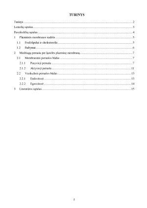 LĄSTELINIS TRANSPORTAS. Paveikslėlis 2