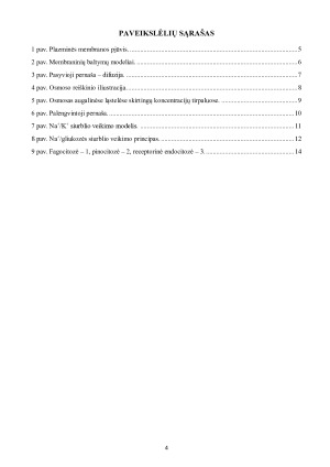 LĄSTELINIS TRANSPORTAS. Paveikslėlis 4