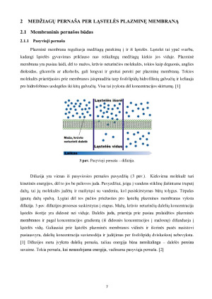 LĄSTELINIS TRANSPORTAS. Paveikslėlis 7