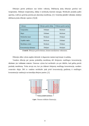 LĄSTELINIS TRANSPORTAS. Paveikslėlis 8