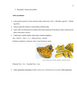 MIKROBIOLOGIJA ENERGIJAI GAUTI. Paveikslėlis 8