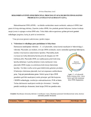 REKOMBINANTINĖS DNR PRINCIPAI, PROCESO ETAPAI IR BIOTECHNOLOGINIO PRODUKTO GAVIMAS PANAUDOJANT GENĄ