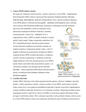REKOMBINANTINĖS DNR PRINCIPAI, PROCESO ETAPAI IR BIOTECHNOLOGINIO PRODUKTO GAVIMAS PANAUDOJANT GENĄ. Paveikslėlis 3