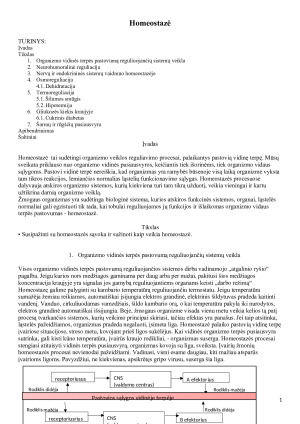 Homeostazė. Paveikslėlis 1
