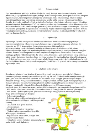 Homeostazė. Paveikslėlis 4