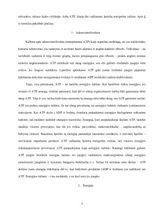 ATP SINTAZĖATPAZĖ, STRUKTŪRA, VEIKIMO MECHANIZMAS. Paveikslėlis 3