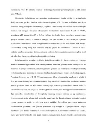 ATP SINTAZĖATPAZĖ, STRUKTŪRA, VEIKIMO MECHANIZMAS. Paveikslėlis 5