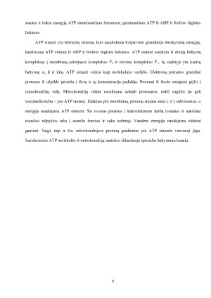 ATP SINTAZĖATPAZĖ, STRUKTŪRA, VEIKIMO MECHANIZMAS. Paveikslėlis 6