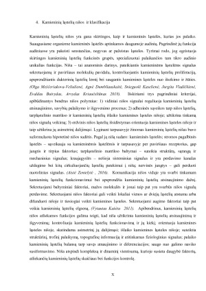 Kamieninių ląstelių nišos ir jų savybės. Paveikslėlis 10