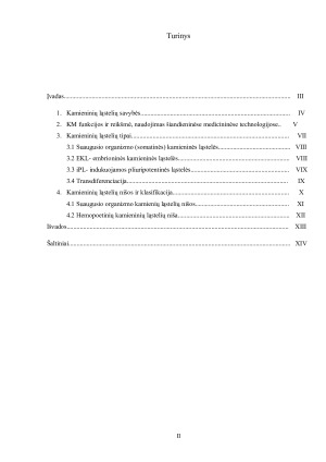 Kamieninių ląstelių nišos ir jų savybės. Paveikslėlis 2