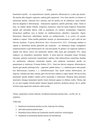 Kamieninių ląstelių nišos ir jų savybės. Paveikslėlis 3