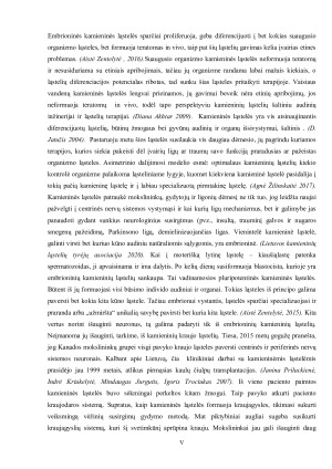 Kamieninių ląstelių nišos ir jų savybės. Paveikslėlis 5