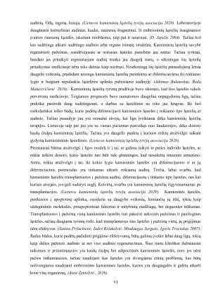 Kamieninių ląstelių nišos ir jų savybės. Paveikslėlis 6