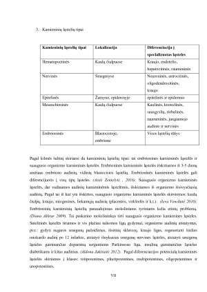 Kamieninių ląstelių nišos ir jų savybės. Paveikslėlis 7