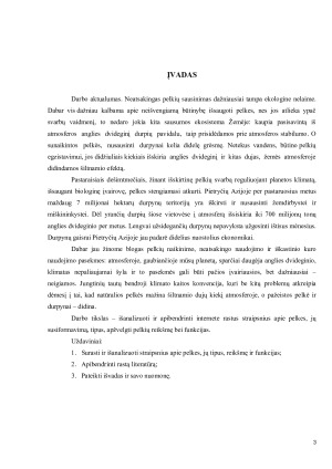 PELKIŲ TIPAI. Paveikslėlis 3