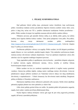PELKIŲ TIPAI. Paveikslėlis 4