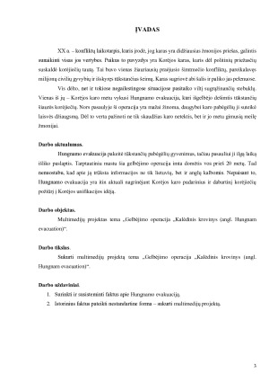 GELBĖJIMO OPERACIJA „KALĖDINIS KROVINYS (ANGL. HUNGNAM EVACUATION)“. Paveikslėlis 3