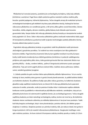 Gintautas Zabiela Lietuvos medinės pilys. Recenzija. Paveikslėlis 4