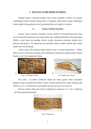 KNYGOS IR SKAITYMO VAIDMUO VISUOMENĖJE – KNYGOS TURINIO LEIDYBOS IR APIPAVIDALINIMO SAVITUMAI SAVITUMAI. Paveikslėlis 4