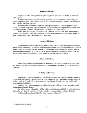 Medžioklė. Paveikslėlis 6