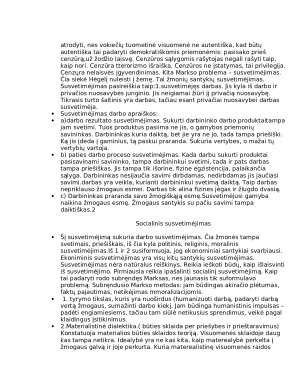 POLITINĖ FILOSOFIJA IR KRITIKA 19-20a.. Paveikslėlis 3