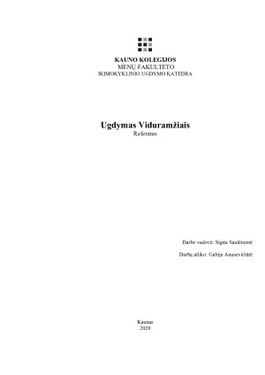 Ugdymas Viduramžiais