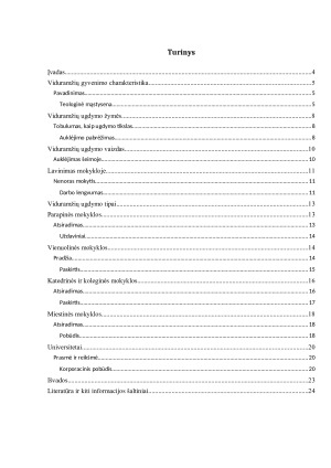 Ugdymas Viduramžiais. Paveikslėlis 2