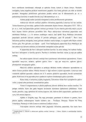 Žalvario ir geležies amžiaus dirbinių ypatumai ir reikšmė Lietuvos archeologijoje. Paveikslėlis 10