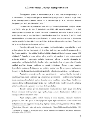 Žalvario ir geležies amžiaus dirbinių ypatumai ir reikšmė Lietuvos archeologijoje. Paveikslėlis 3