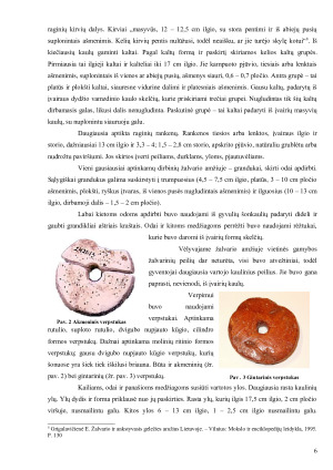 Žalvario ir geležies amžiaus dirbinių ypatumai ir reikšmė Lietuvos archeologijoje. Paveikslėlis 6