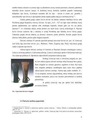 Žalvario ir geležies amžiaus dirbinių ypatumai ir reikšmė Lietuvos archeologijoje. Paveikslėlis 8