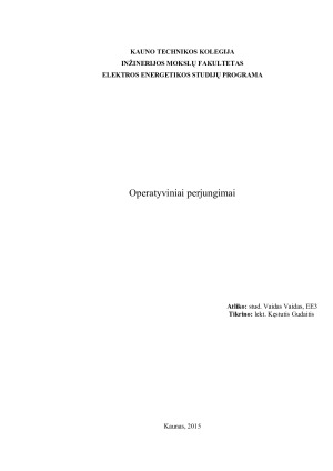 Operatyviniai perjungimai. Paveikslėlis 1