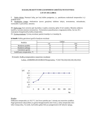 Statybinės medžiagos. Ataskaitos. Paveikslėlis 4