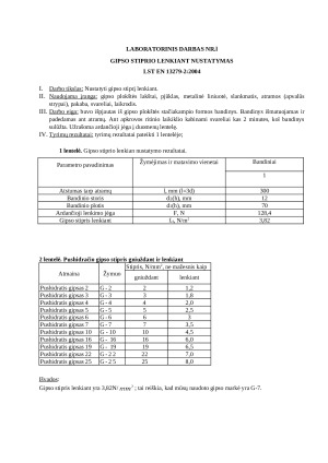 Statybinės medžiagos. Ataskaitos. Paveikslėlis 8