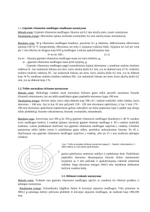 Statybinės medžiagos. Ataskaitos. Paveikslėlis 9