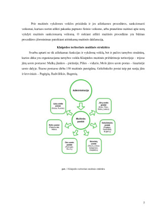 Klaipėdos teritorinė muitinė, jos funkcijos, struktūra . Muitinės įtaka uosto veiklai. Paveikslėlis 5