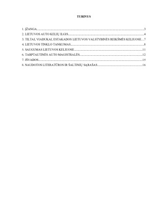 Lietuvos auto kelių ilgis, tinklo tankumas, kelių skirstymas. Tarptautinės auto magistralės. Paveikslėlis 2
