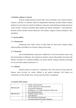 UAB „Sunkiasvoris“ krovinių vežimų organizavimas kelių transportu tarptautiniais maršrutais. Paveikslėlis 6