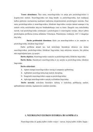 Neurolingvistika ir psicholingvistika, klinikinė lingvistika. Paveikslėlis 3