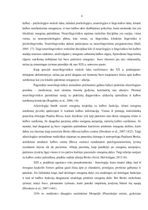 Neurolingvistika ir psicholingvistika, klinikinė lingvistika. Paveikslėlis 4