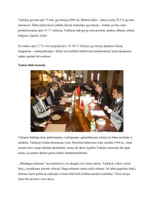 TARPTAUTINĖS PREKYBOS PROJEKTINIS DARBAS TURKIJA. Paveikslėlis 3