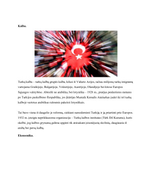 TARPTAUTINĖS PREKYBOS PROJEKTINIS DARBAS TURKIJA. Paveikslėlis 4