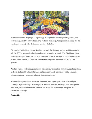 TARPTAUTINĖS PREKYBOS PROJEKTINIS DARBAS TURKIJA. Paveikslėlis 5